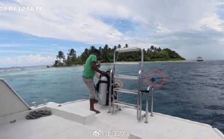 导致的风险, https